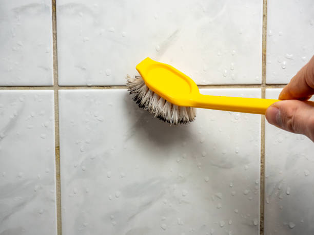 Best Mold Removal Near Me  in Feather Sound, FL
