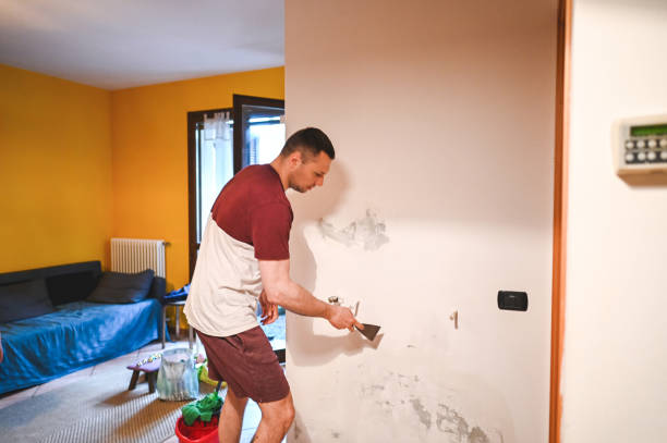 Best Same-Day Mold Removal  in Feather Sound, FL